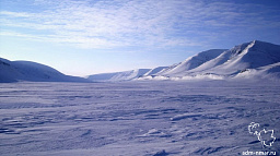 В Архангельской области зарегистрировано 192 резидента Арктической зоны