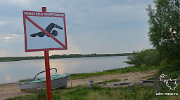 В водоемах Нарьян-Мара купаться запрещено