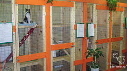 В Нарьян-Маре откроется гостиница для животных