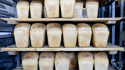 Городской бюджет в 2022 году может пополниться на 8 млн за счет продажи акций хлебозавода 