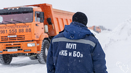 Все организации и ИП обязаны заключить договор на вывоз мусора