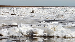 Первый лед на Печоре ожидается в конце октября