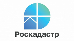 Эксперты регионального Роскадастра рассказали, как земельным участкам присваиваются кадастровые номера