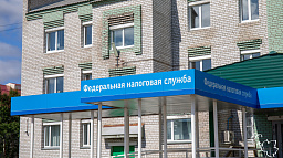 Число самозанятых в Архангельской области и НАО превысило 75,5 тысяч