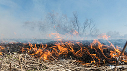 С 25 мая в Нарьян-Маре введут запрет на выжигание сухой травы