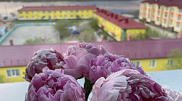 В Нарьян-Маре определят лучшего мастера по созданию цветочных композиций 
