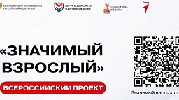 Вопросы наставничества обсудили в Комитете молодежной политики ГД РФ