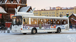 В новогоднюю и рождественскую ночь из Искателей до города можно доехать на автобусе