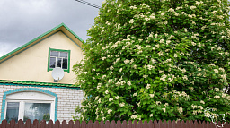 Эскроу-счет – надежный инструмент для застройщика и покупателя