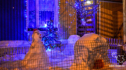В Нарьян-Маре стартовал конкурс на лучшее новогоднее оформление двора