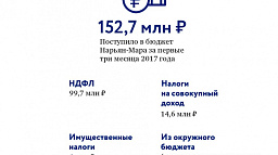 За первые три месяца года в бюджет Нарьян-Мара поступило 152,7 млн рублей. 